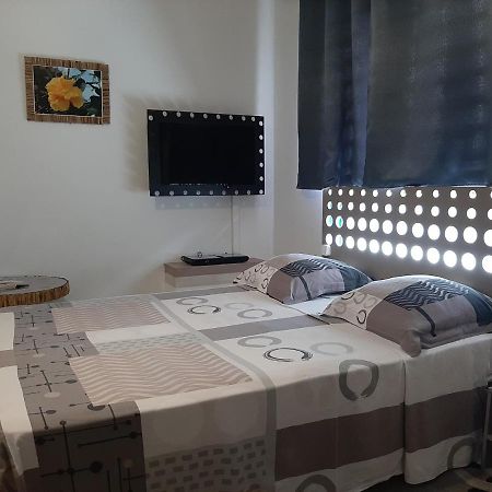 Petite Callebasse Daire Cayenne Dış mekan fotoğraf